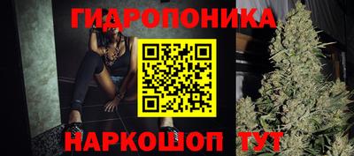 ешки Дубна