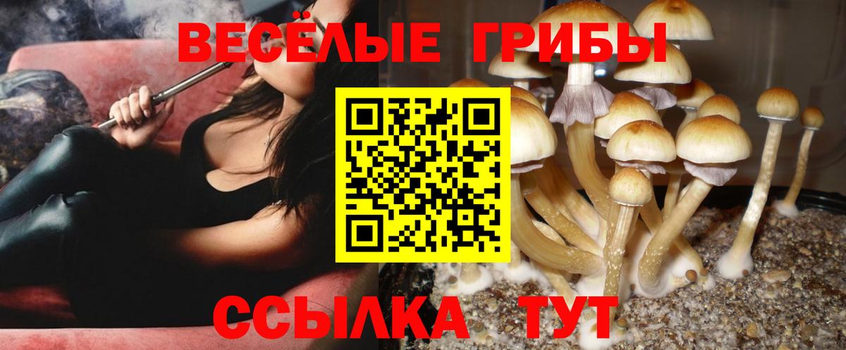 Галлюциногенные грибы Magic Shrooms  Вход с VPN  Ижевск 