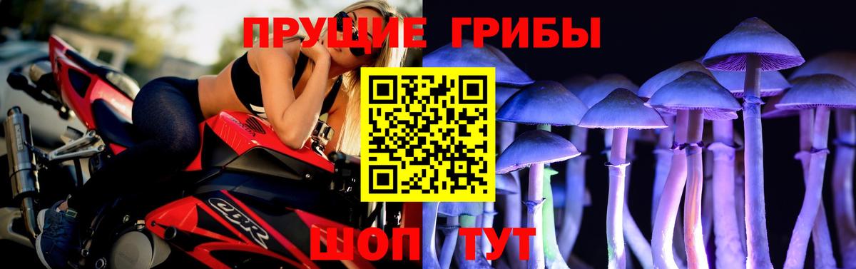 Псилоцибиновые грибы мухоморы Ижевск