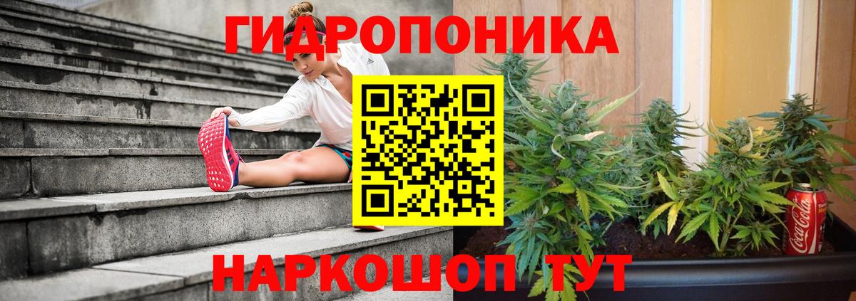 Бошки Шишки OG Kush  МАРИХУАНА семена  Ижевск  Вход с VPN  Шишки марихуана MAZAR 